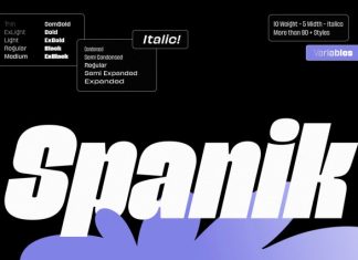 Spanik Demo Font Family preview image 1