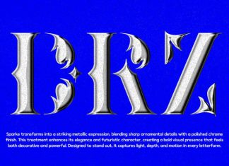 Sparke – Floral Futuristic Serif Font preview image 3