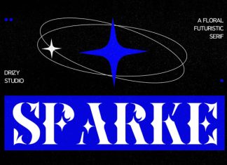 Sparke – Floral Futuristic Serif Font preview image 1