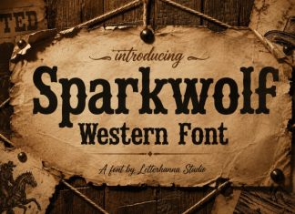 Sparkwolf Only Font preview image 1