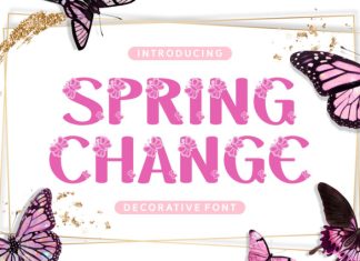 Spring Change Font preview image 1
