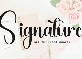 Stay Angela Font preview image 2