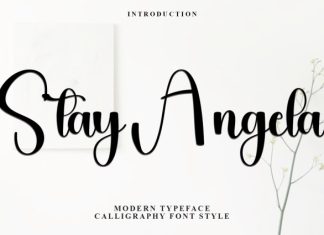 Stay Angela Font preview image 1