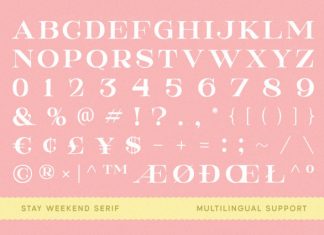Stay Weekend Serif Font preview image 3
