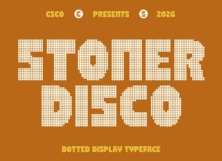 CS Stoner Disco Font preview image 1