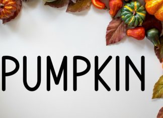Strong Farmhouse Font preview image 3