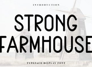Strong Farmhouse Font preview image 1