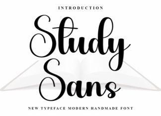 Study Sans Font preview image 1