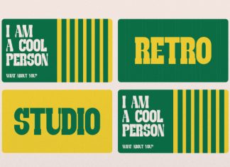 Stunco Slab Serif Font preview image 3