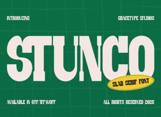 Stunco Slab Serif Font preview image 1
