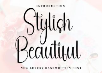Stylish Beautiful Font preview image 1