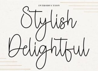 Stylish Delightful Font preview image 1
