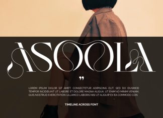 TIMELINE ACROSS – LUXURY FONT preview image 3