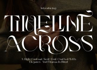 TIMELINE ACROSS – LUXURY FONT preview image 1