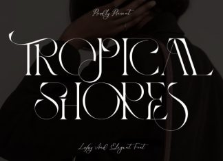 TROPICAL SHORES – LIGATURE SERIF FONT preview image 1
