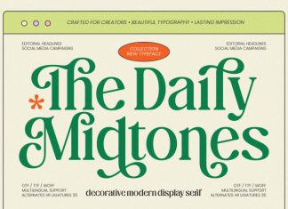 The Daily Midtones Font preview image 1