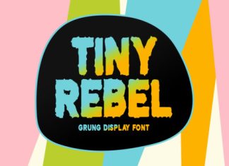 Tiny Rebel Font preview image 1