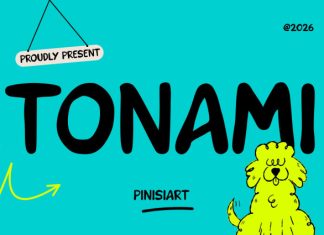 Tonami Font preview image 1
