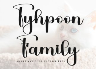 Tyhpoon Family Font preview image 1