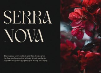 Utopia Font preview image 2