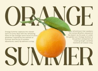 Velenor – Elegant Serif Font preview image 2