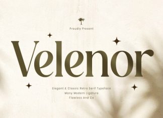 Velenor – Elegant Serif Font preview image 1