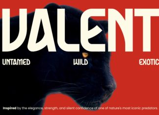 Valent Font preview image 1