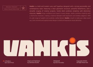 Vankis Font preview image 1