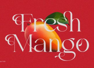 Velick Font Family preview image 3