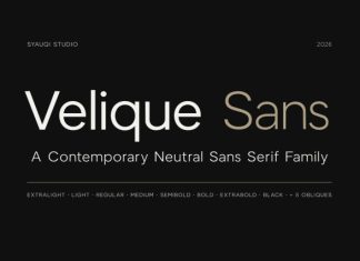 Velique Sans Font preview image 1