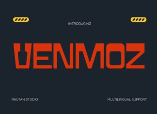 Venmoz Font preview image 1