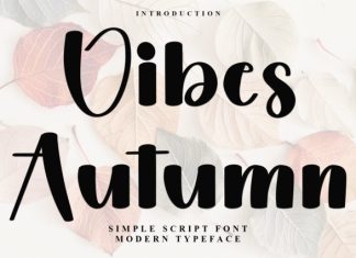 Vibes Autumn Font preview image 1