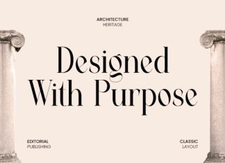 Vigora Font preview image 3