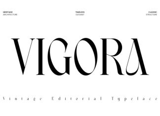 Vigora Font preview image 1