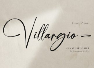 Villargio Signature Script Font preview image 1