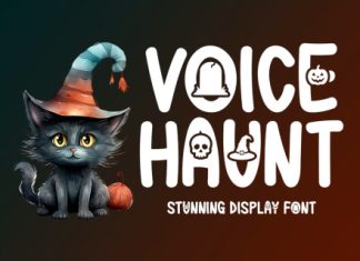 Voice Haunt Font preview image 1