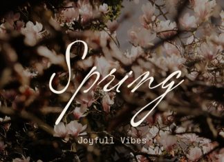 Vordelina Demo Font preview image 3
