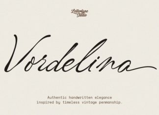 Vordelina Demo Font preview image 1