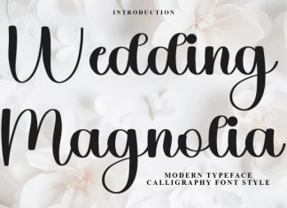 Wedding Magnolia Font preview image 1