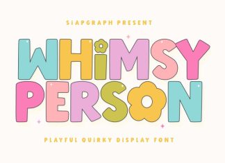 Whimsy Person Font preview image 1