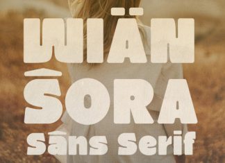 Wiansora – Bold Sans Serif Font preview image 1