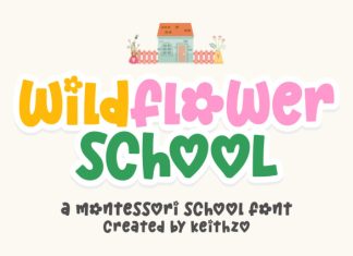 Wildflower School Font preview image 1
