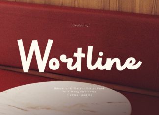 Wortline – Unique Elegant Script Font preview image 1