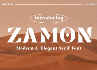 Zamon Modern Serif Font preview image 1