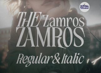 Zamros Serif Font preview image 1