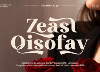 Zeist Qisofay – Modern Luxury Serif Font preview image 1