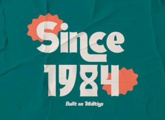 Zentaro Retro Serif Font preview image 3