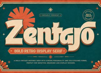 Zentaro Retro Serif Font preview image 1