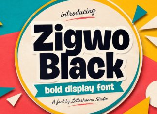 Zigwo Black Demo Font preview image 1