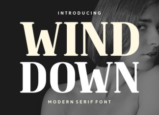 Wind Down Font preview image 1